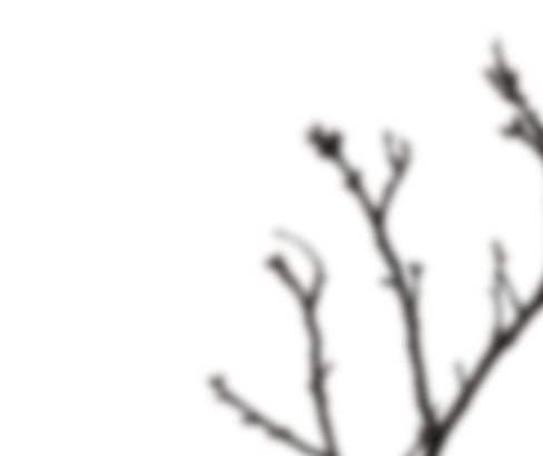 Fondo con textura cálida y ramas desenfocadas